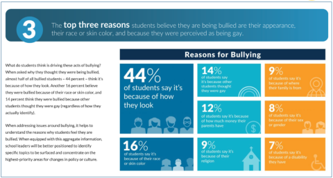 Reasons students believe they're being bullied